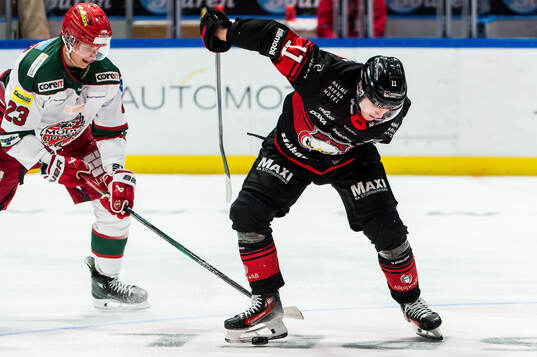 Modos Tobias Winberg och Malmö Redhawks Nikola Pasic