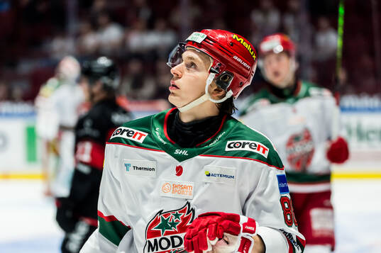 Modos Lukas Jasek