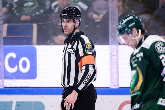 Domare Richard Magnusson