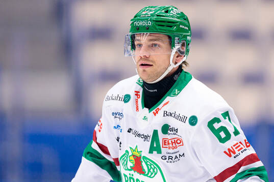 Rögles Leon Bristedt