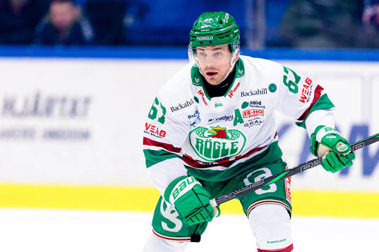 Rögles Leon Bristedt