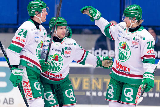 Rögles Mattias Göransson, Leon Bristedt och Joachim