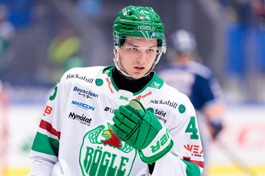Rögles Gregor Biber