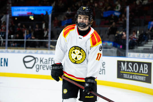 Brynäs Michal Svrcek