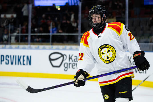 Brynäs Leo Sundqvist