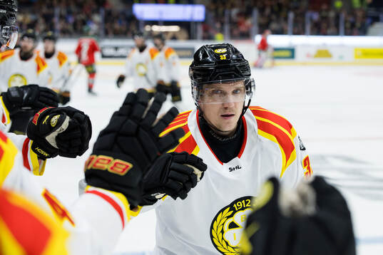 Bläddra bland fler bilder av Ishockey, SHL, Frölunda - Brynäs