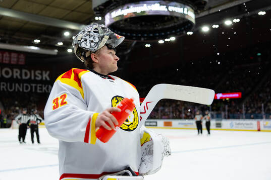 Brynäs målvakt Ludvig Persson