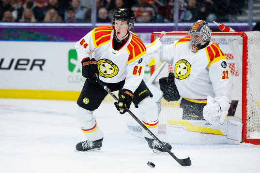 Brynäs Jacob Bengtsson