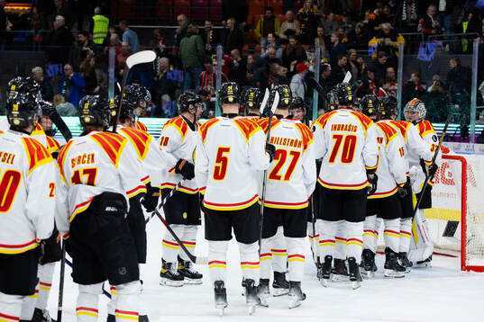 Brynäs spelare jublar