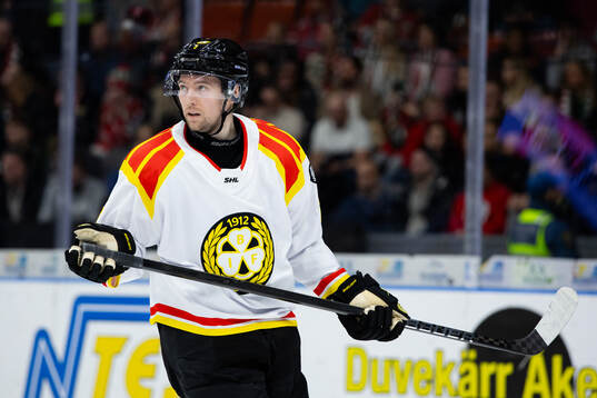 Brynäs Christian Djoos