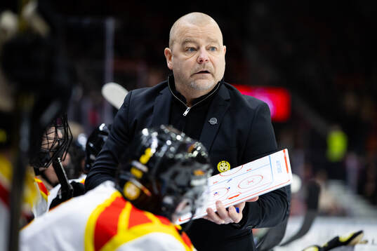 Brynäs tränare Niklas Gällstedt