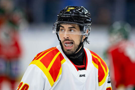 Brynäs Tyler Vesel