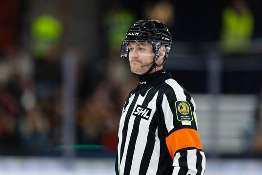 Domare Daniel Eriksson