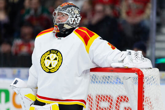 Brynäs målvakt Ludvig Persson