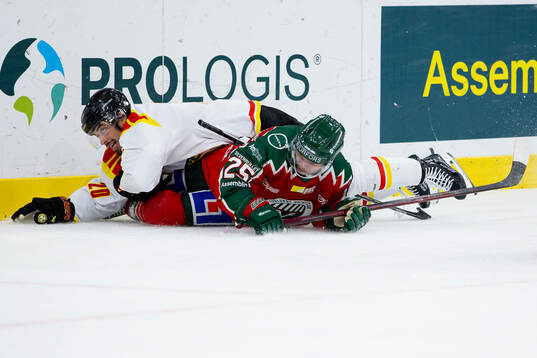 Brynäs Tyler Vesel och Frölundas Arttu Ruotsalainen