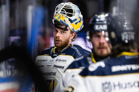 HV71s målvakt Hugo Alnefelt