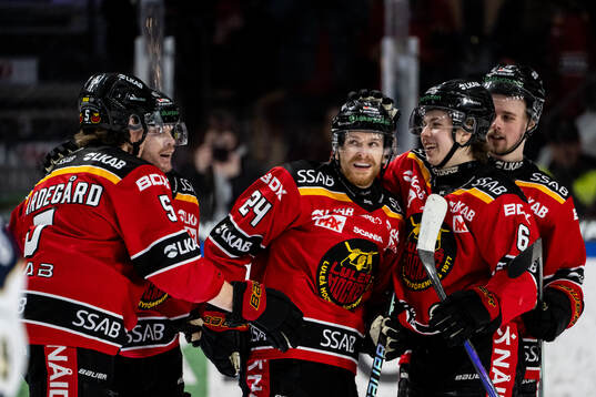 Luleås Brendan Shinnimin jublar