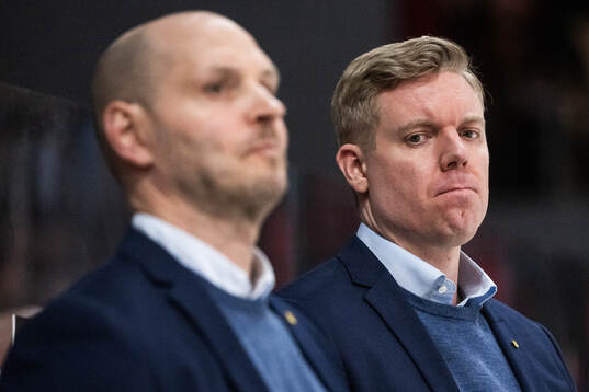 HV71s tränare Anton Blomqvist