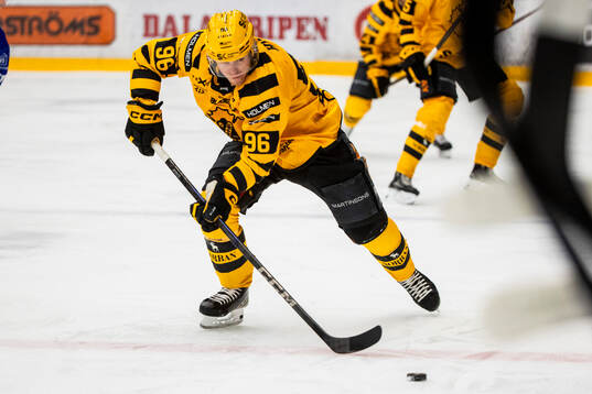 Skellefteås Rickard Hugg