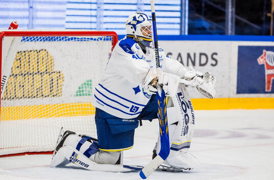 Leksands målvakt Mantas Armalis