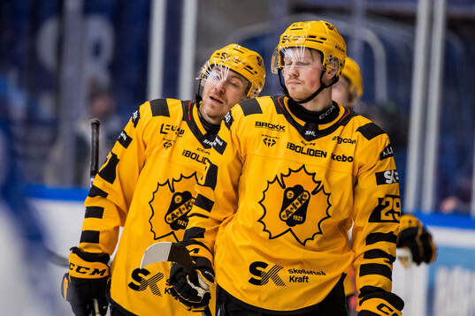 Skellefteås Ludvig Warg