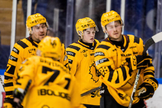 Skellefteås Axel Sandin Pellikka deppar