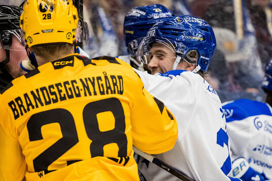 Leksands Arvid Eljas