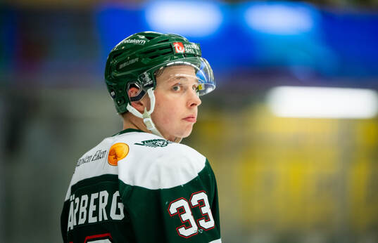 Tingsryds Martin Skärberg