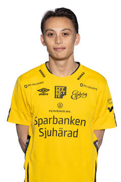 Stig Karlsson
