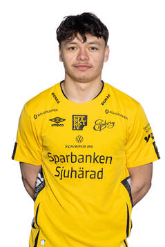 Dag Hallgren