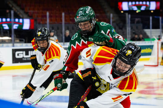 Frölundas Michelle Karvinen och Brynäs Anna Brenkle