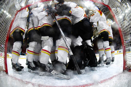 Brynäs spelare jublar