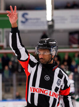 Domare Fredrik Rönnberg