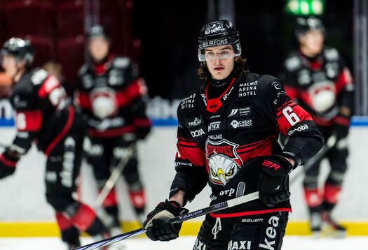 Malmö Redhawks Dominik Badinka