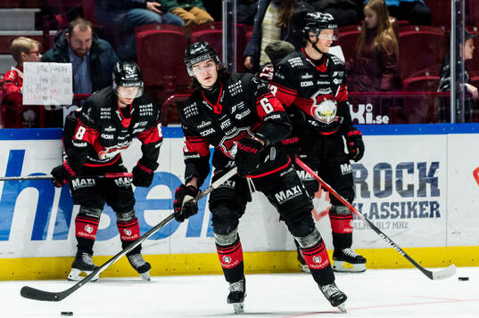 Malmö Redhawks Dominik Badinka