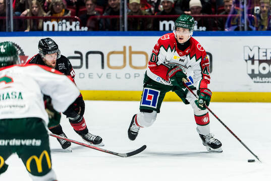 Frölundas Jacob Peterson och Malmö Redhawks Carl Persson