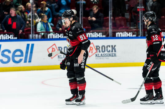 Malmö Redhawks Axel Sundberg deppar
