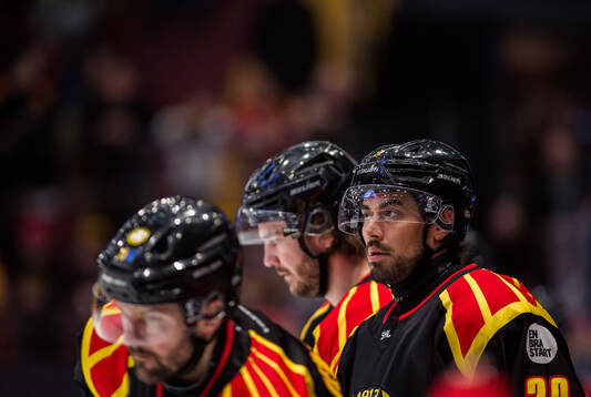 Brynäs Tyler Vesel