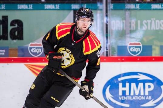 Brynäs Christian Djoos
