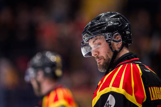 Brynäs Johan Larsson