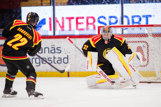 Brynäs målvakt Ludvig Persson
