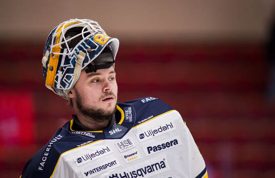 HV71s målvakt Frederik Dichow
