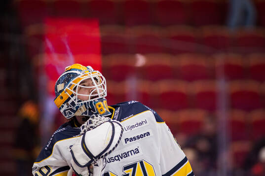 HV71s målvakt Frederik Dichow