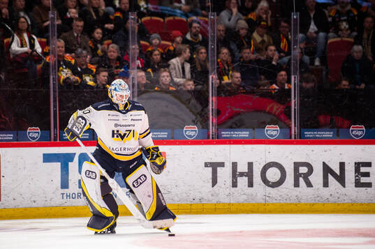 HV71s målvakt Hugo Alnefelt