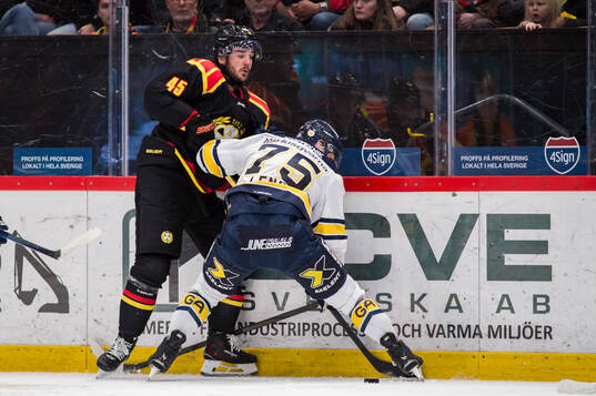 Brynäs Charles-Édouard D'astous och HV71s Radan Lenc