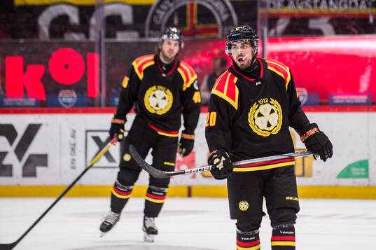 Brynäs Tyler Vesel deppar