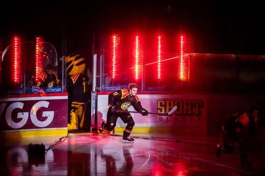 Brynäs Michal Svrcek