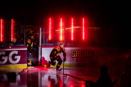 Brynäs Leo Sundqvist