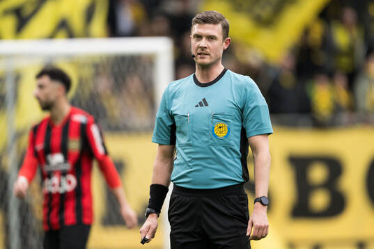 Domare Erik Mattsson