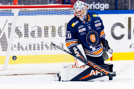 Växjös målvakt Adam Åhman deppar